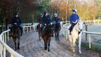 'I learned a lot working Goffs' sale and I know my fellow trainees did as well'