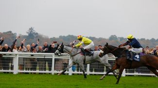 King George hope Politologue looks like a Christmas cracker