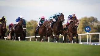 Champion Stakes should be grand finale of showpiece occasion