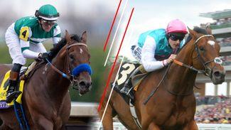 Does Flightline deserve to be rated Frankel's equal? Our experts have their say