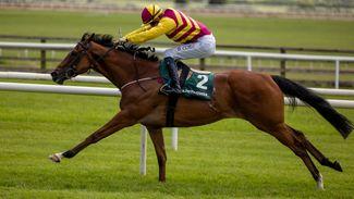 Curragh: Mashhoor roars home in Group 3 International for Johnny Murtagh and elated owners