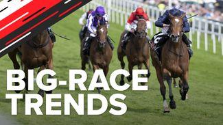 Big-race trends: key data analysed for the Betfred Derby and Oaks