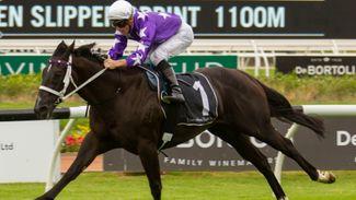 Darley to have champagne on ice should Martin’s Star colts land Group 1