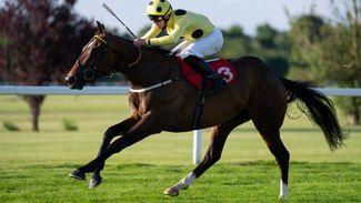 Sandown: 'He's got the potential to be a superstar' - Elite Status shoots to Royal Ascot favouritism with stunning success