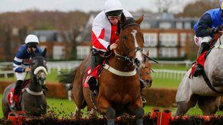 Moore not worried about Triumph hope Goshen jumping to his right at Cheltenham