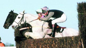 Change to jumps programme must come with Desert Orchid-style sense of adventure