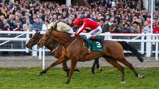Who will join Definitly Red and Ballyandy as winners of this red-hot bumper?