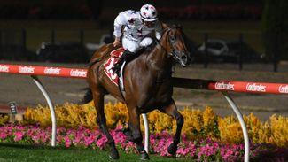Sun shines bright under lights of The Valley as filly lands third Group 1
