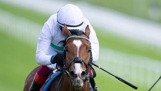 Epictetus team aiming for Epsom clarity in Dante - could Frankie Dettori end up with a tricky Derby choice to make?