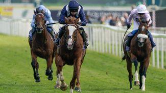 Our Newmarket correspondent David Milnes selects his Tote Ten to Follow for the Flat season