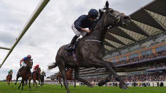 Ooh! Matron now the target for O'Brien's superfilly Winter