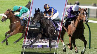 2023 Qipco 1,000 Guineas at Newmarket: assessing the top five contenders for Sunday's big race