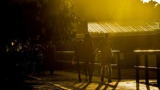 Five things we learned from the yearling sales on the Gold Coast