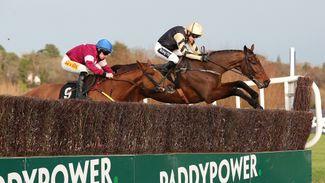 Walk In The Park half-brother to Bellshill to debut at Punchestown on Sunday