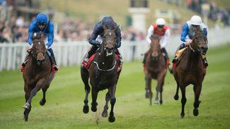 Bookies left divided over Cliffs Of Moher's Epsom chance