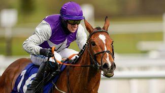 'She's been a great mare' - Mrs Milner retired to stud following injury setback