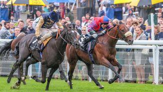 Why history will be all against Big Evs if star juvenile lines up against elders in Nunthorpe Stakes at York