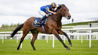 Which horses caught the eyes of our experts on an informative day at the Curragh?
