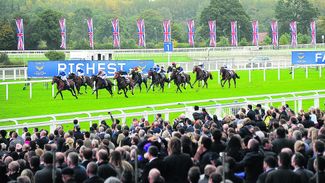 Keep it simple: Ascot's on top in battle of the hashtags