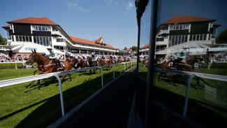 Three Racing Post experts give their verdicts on Friday's Chester Cup
