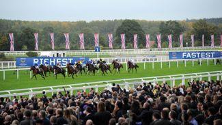 Ascot nominated for four categories at Showcase Awards