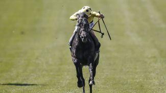 Upwardly mobile Defoe digs deep to score in the Jockey Club Stakes