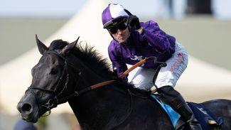 'I think he's versatile' - soft ground no concern for Champion Stakes-bound King Of Steel