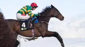 'Attracting families will help to keep the sport alive and well'