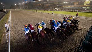 Super Saturday reflections: key pointers to take out for Dubai World Cup night