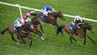 Balding's Brorocco still one to follow after unlucky Epsom defeat