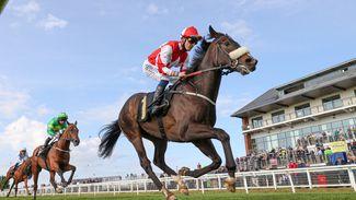 Stewards' Cup: 'The softer it is the better he is' - Jack Berry keen on more rain for Stewards' Cup hope Aleezdancer