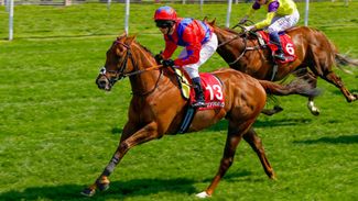 It won't be long before Duke Of Firenze starts winning again