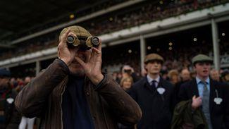 Jump racing's Cheltenham Festival focus is part of the appeal