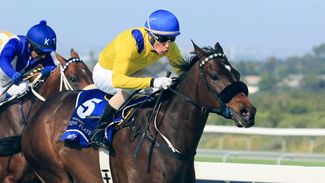 Vardy nets major victory for Adam Marcus in Grade 1 Queen's Plate