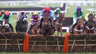Why the Mares' Hurdle of 2012 is proving a key race at the Cheltenham Festival