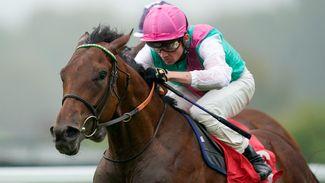 Westover team dreaming of Arc glory with Paris set for dry weather leading up to Longchamp showpiece