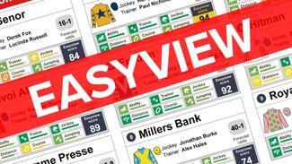Easyview: who comes out best of the runners in the Champion Stakes at Ascot?
