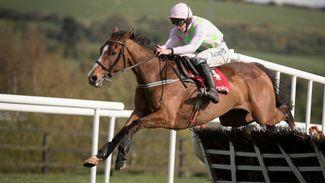 Faugheen bounces back to imperious best to leave rivals trailing in his wake