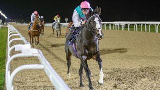 Exciting Set Piece maintains unbeaten record with another smooth success
