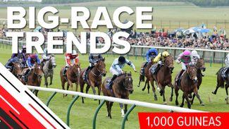 Big-race trends: key data analysed for the Qipco 1,000 Guineas