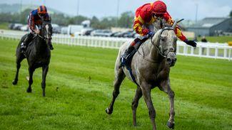 Group 1 breakthrough for White Birch as he takes scalp of Auguste Rodin in Tattersalls Gold Cup