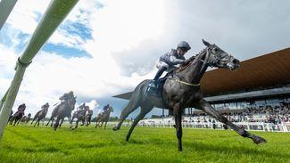 'She just loves to gallop' - Fallen Angel completes 1,000 Guineas double for Karl Burke with emphatic Curragh victory