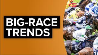 Big-race trends: key stats to help you find the Gold Cup winner
