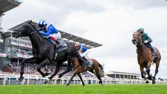 'Hopefully we don't get too much rain' - Mostahdaf's connections on weather watch with Hukum ruled out of Champion Stakes
