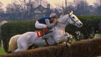 Racing's greatest greys: five top-class grey horses who reigned supreme