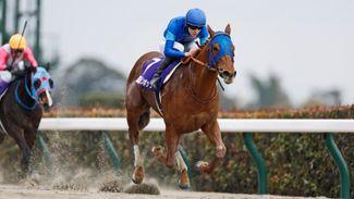 'He has plenty more to offer' - Godolphin's progressive Lemon Pop takes out Tokyo's February Stakes