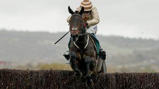 Broadway Boy set to tackle Willie Mullins hotpot after 'exceptional' piece of work