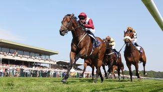 What's on this week: more Royal Ascot entries revealed before Group action at Haydock and final leg of US Triple Crown