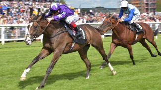 Three horses to look out for during tonight's action