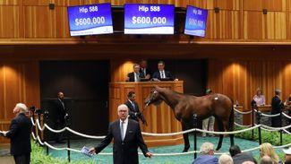 New York-Bred Sale soars to record level